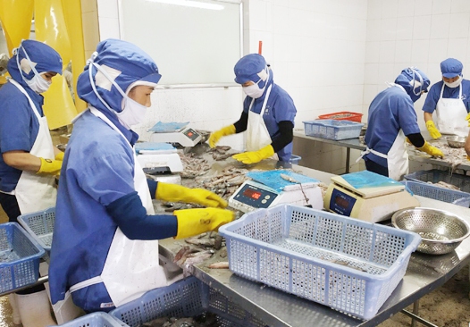 Người lao động tại các khu công nghiệp được hỗ trợ 3 tháng tiền thuê nhà