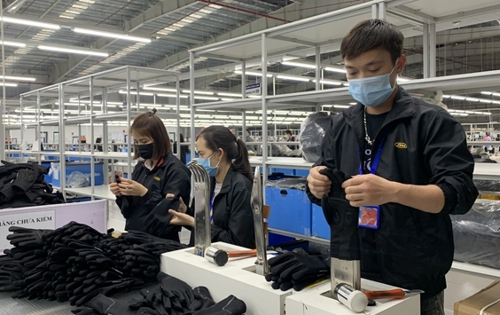 Đã có Quyết định 28/2021/QĐ-TTg về thực hiện chính sách hỗ trợ người lao động và người sử dụng lao động bị ảnh hưởng bởi đại dịch COVID-19 từ Quỹ bảo hiểm thất nghiệp