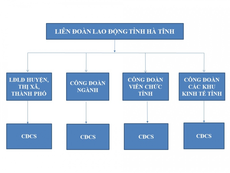 Hệ thống tổ chức Liên đoàn Lao động tỉnh Hà Tĩnh