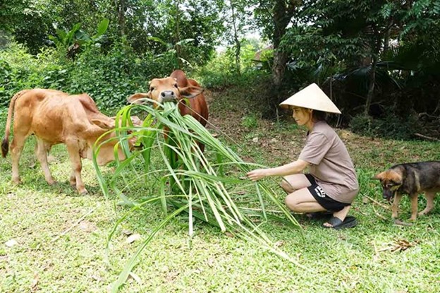 Mong ước trở lại làm công nhân